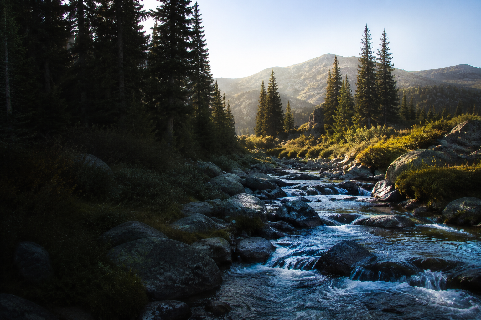 A clear mountain stream flowing between evergreens